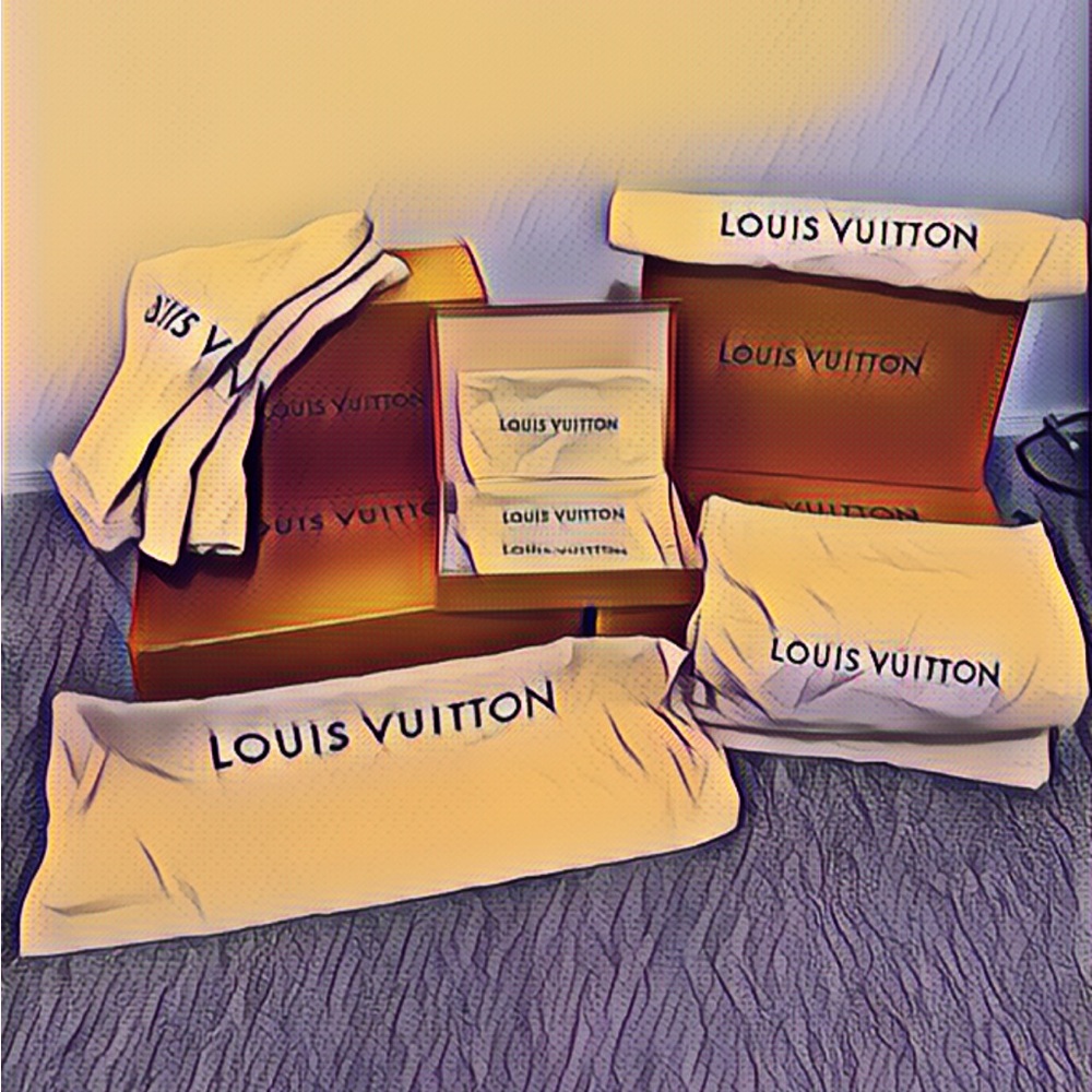 Authentic Louis Vuitton 🍊 XL BUNDLE
5 -Storage Boxes & 12 -Dust Bags - Picture 16 of 16